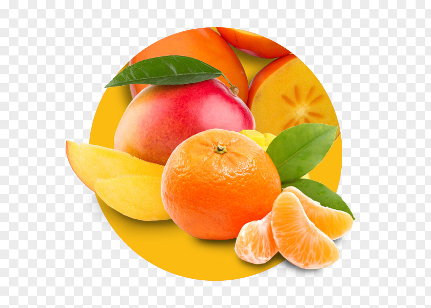 Grapefruit Clementine Mandarin Orange Tangerine Peel Blood PNG