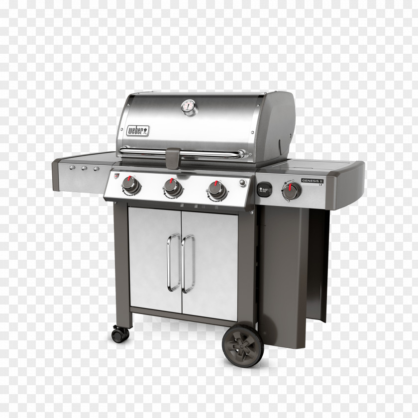 Grill Barbecue Weber-Stephen Products Propane Natural Gas Burner PNG