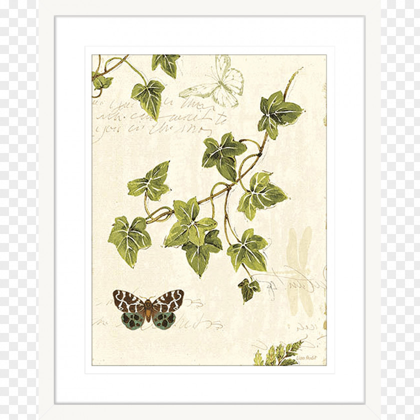 Painting Art Ivy Picture Frames Drawing PNG