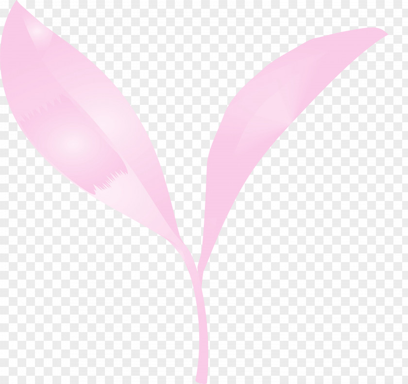 Pink Leaf Plant Flower Magenta PNG