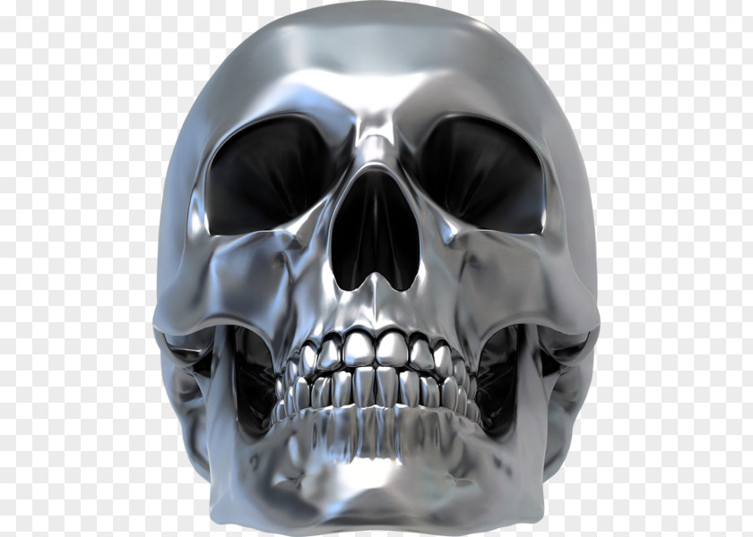 Skull Print Drawing 3D Computer Graphics Bone PNG