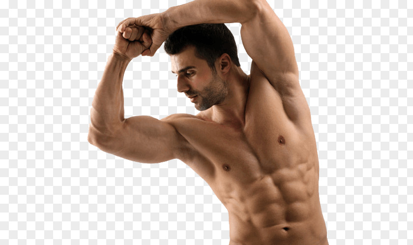 Bodybuilding Muscle Exercise Biceps Anabolism PNG