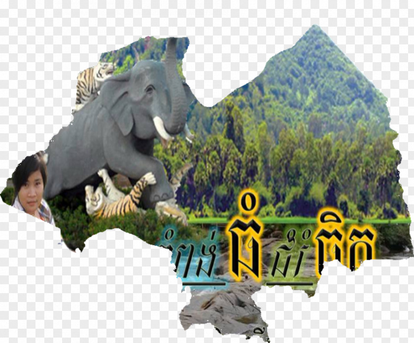 Dinosaur Fauna Kampong Thom Province Tourism Wildlife PNG