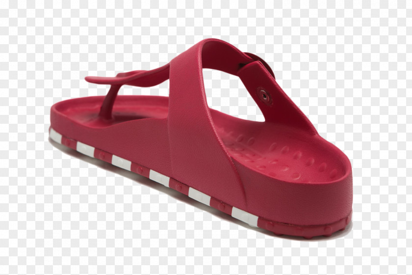 Sandal Sportie LA Shoe PNG