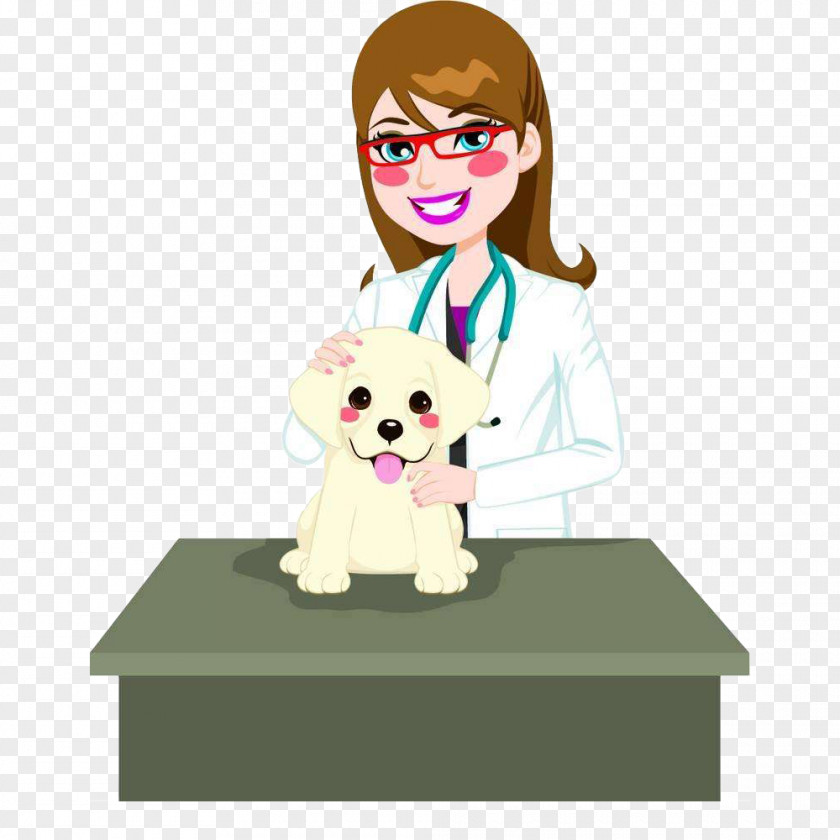 Cartoon Pet Doctor And Dog Cat Veterinarian Photography Illustration PNG