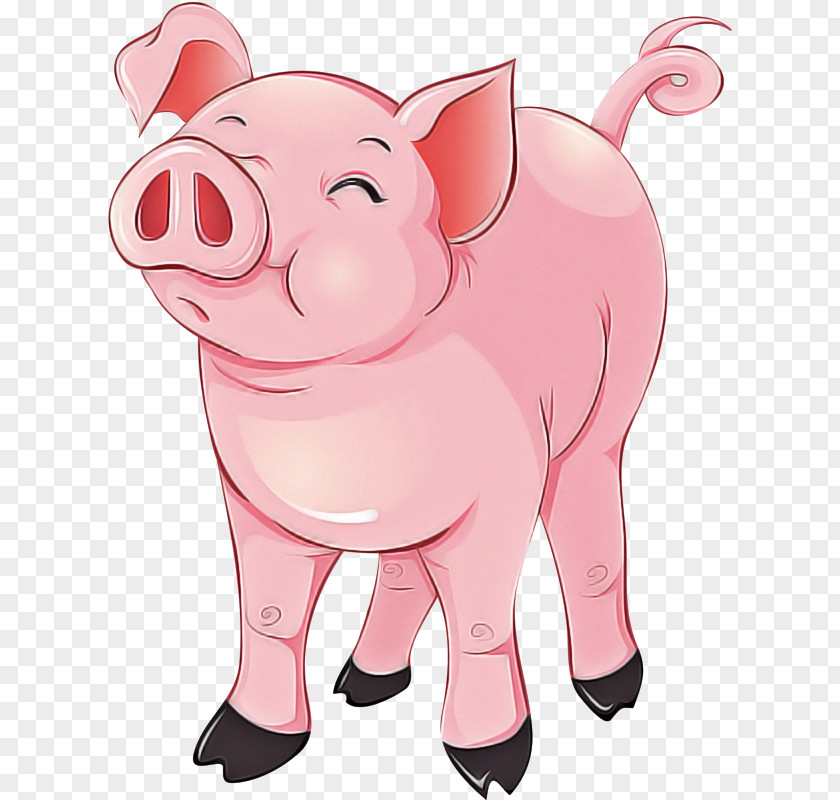 Cartoon Pink Suidae Nose Snout PNG