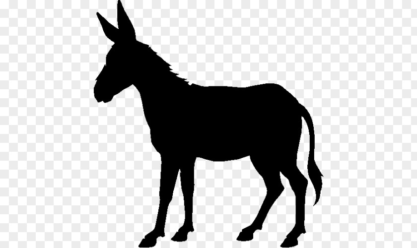 Donkey Silhouette Drawing Clip Art PNG