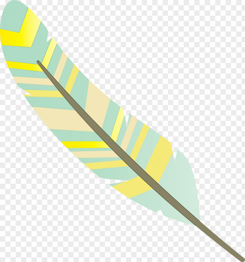 Feather PNG