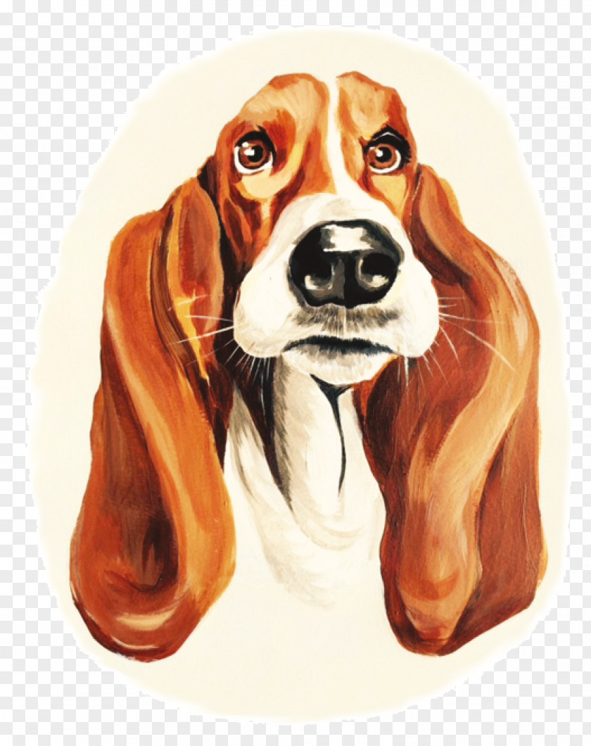 Puppy Beagle-Harrier English Foxhound Finnish Hound PNG