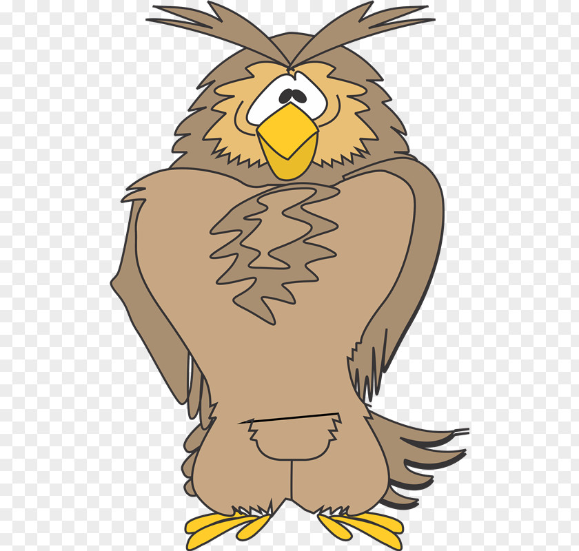 Ty Owl Eagle Hawk Beak Clip Art PNG
