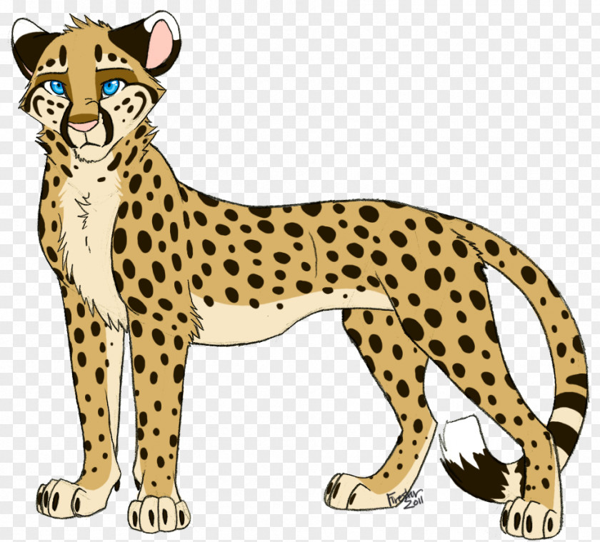 Cheetah Lion Tiger Cat Drawing PNG