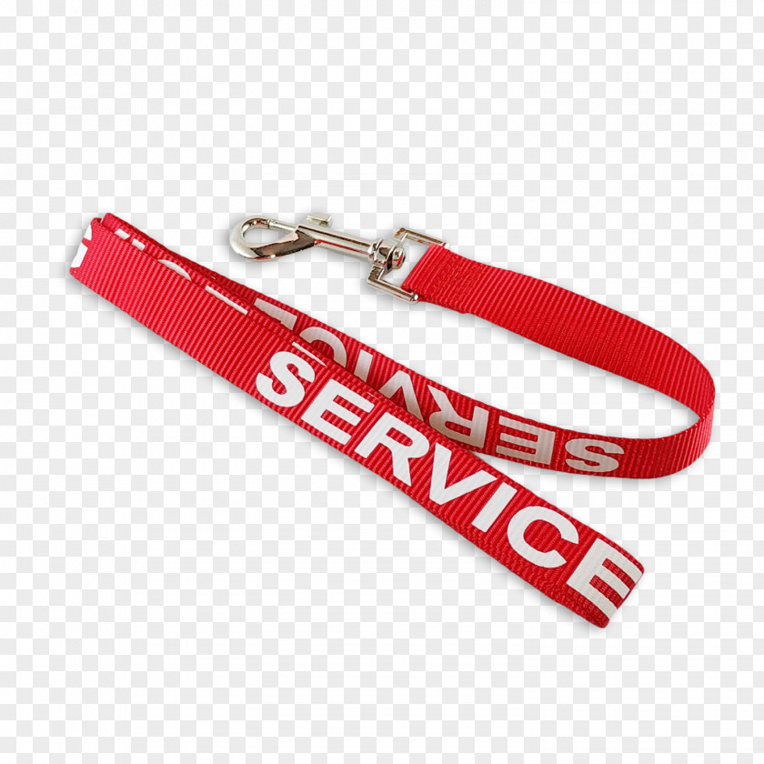 Dog Leash Service Strap Animal PNG