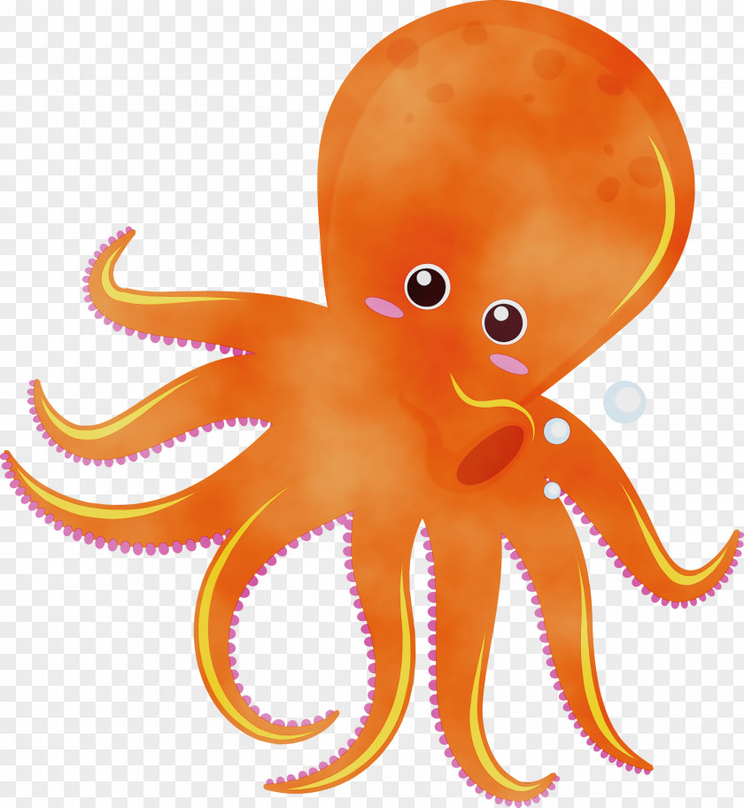 Orange PNG