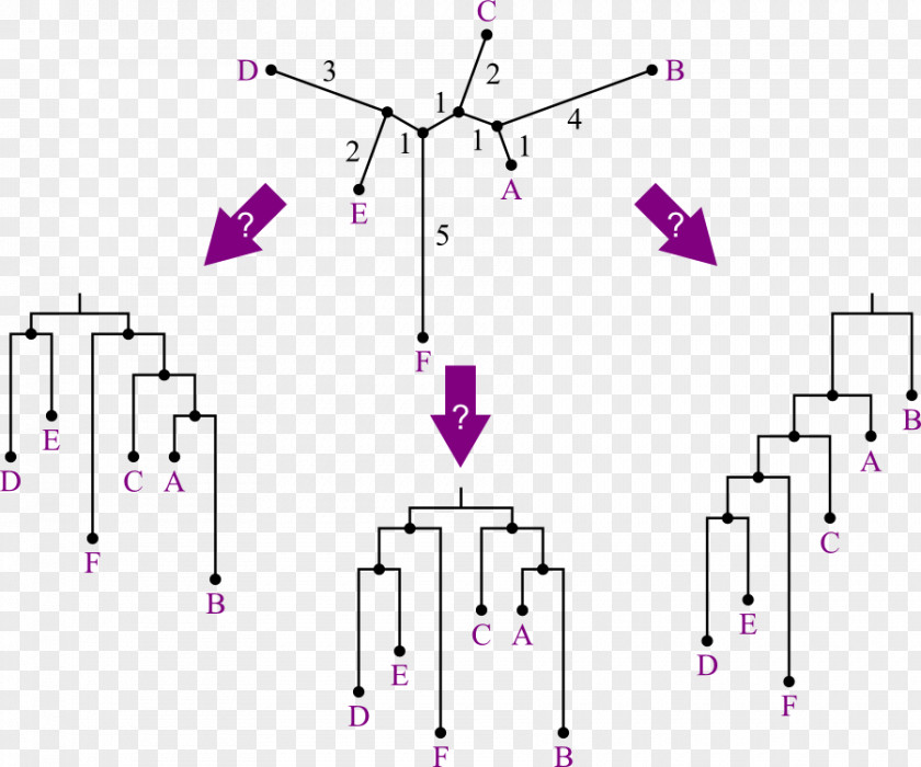 Angle Point Pattern PNG