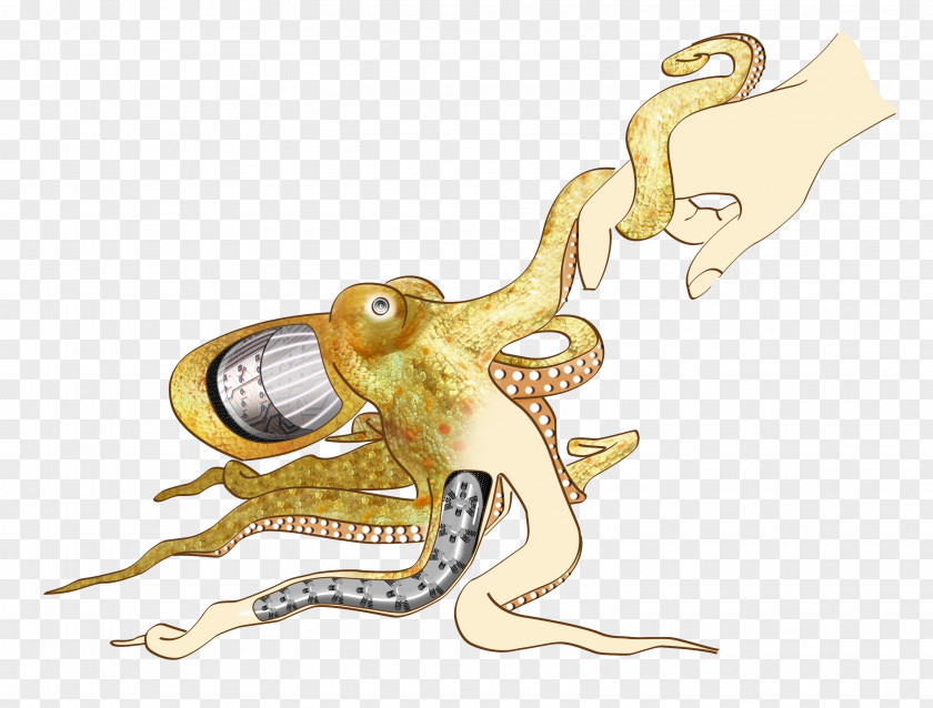 Octapus Octopus Soft Robotics Cephalopod PNG