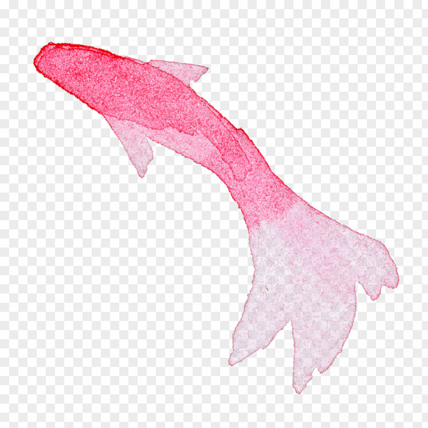 Pink Wing Plant Flower Petal PNG