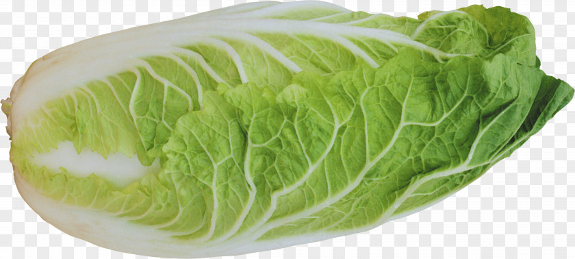 Salad Image Lettuce Vegetable PNG