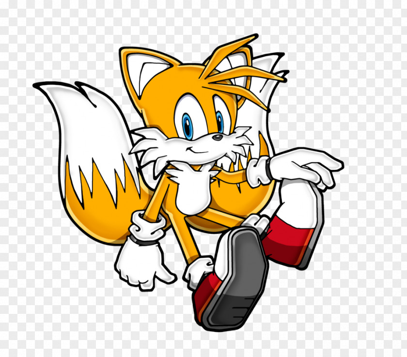 Tornado Tails Sonic The Hedgehog Rouge Bat Chaos Knuckles Echidna PNG