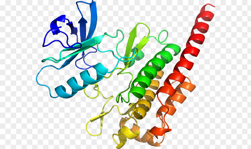 TST Rhodanese Sulfurtransferase Thiosulfate Gene PNG