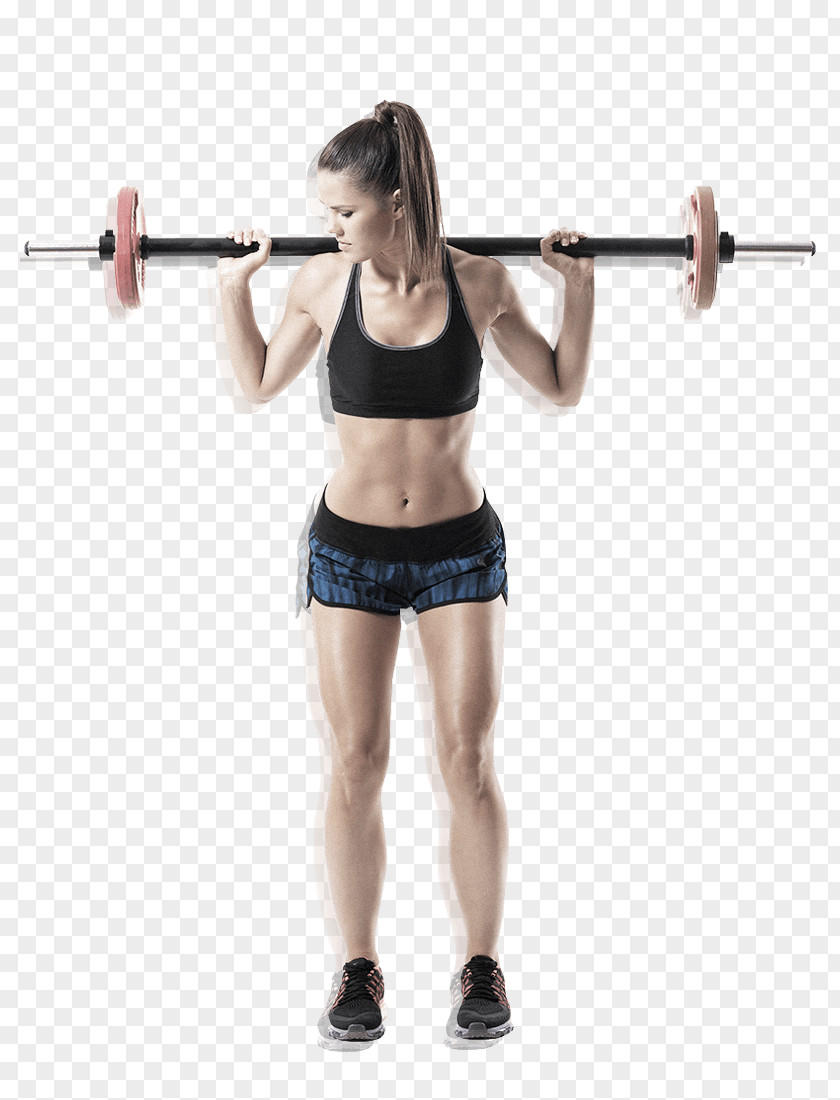 Barbell Weight Training Squat Exercise Stock Photography PNG