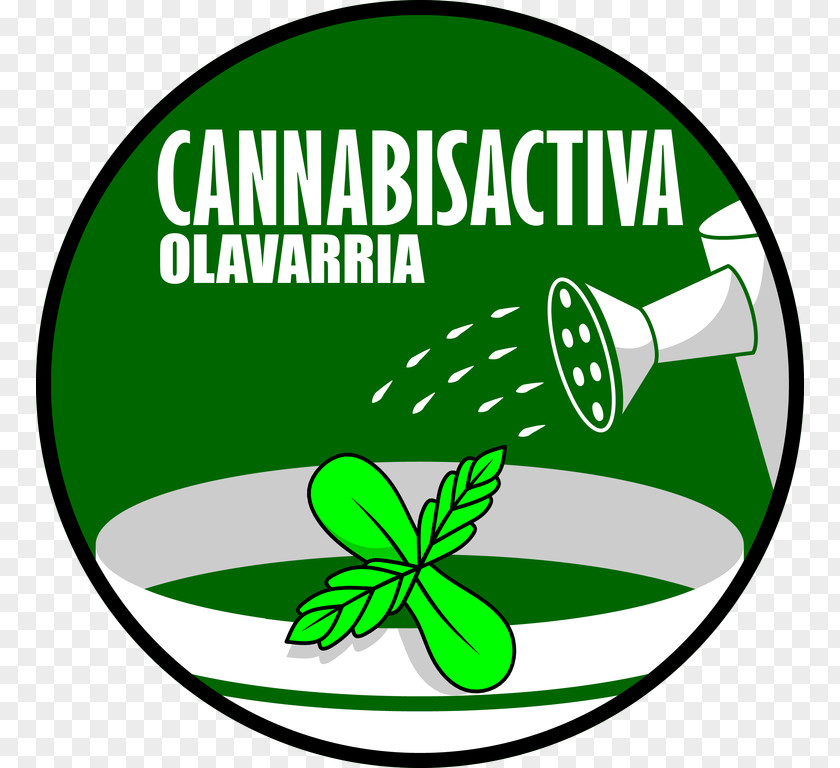 Cannabis Olavarría Calendar La Nación City PNG