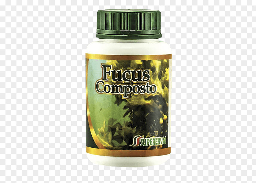 Compos Mexican Tea Capsule Pharmaceutical Drug Garden Rhubarb Anthelmintic PNG