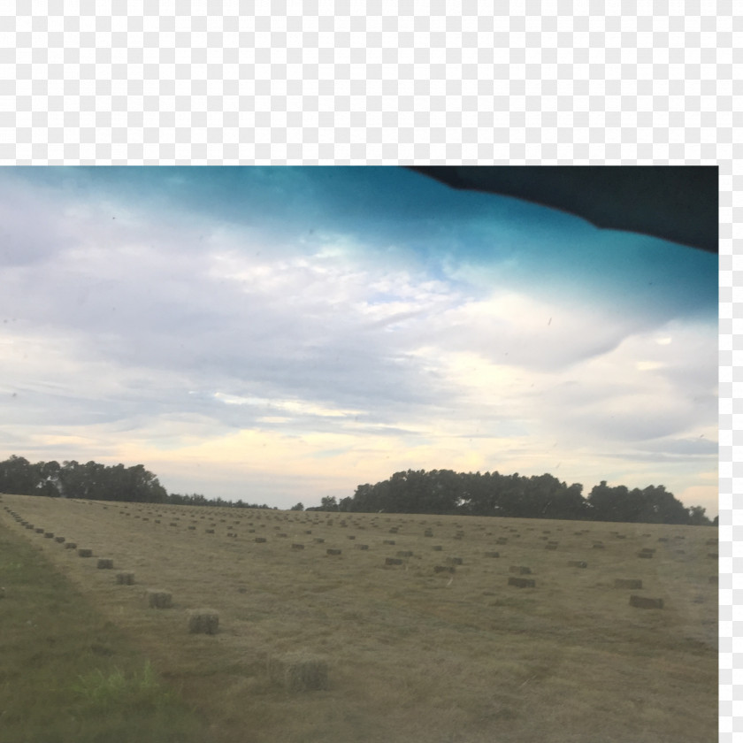 Cumulus Steppe Grassland Land Lot Ecoregion PNG