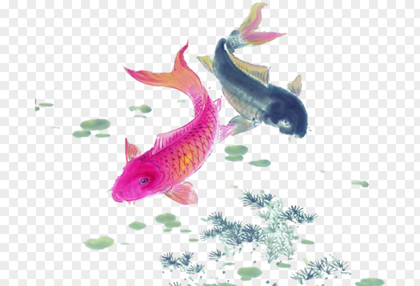 Duck Koi Fish Painting Wallpaper PNG