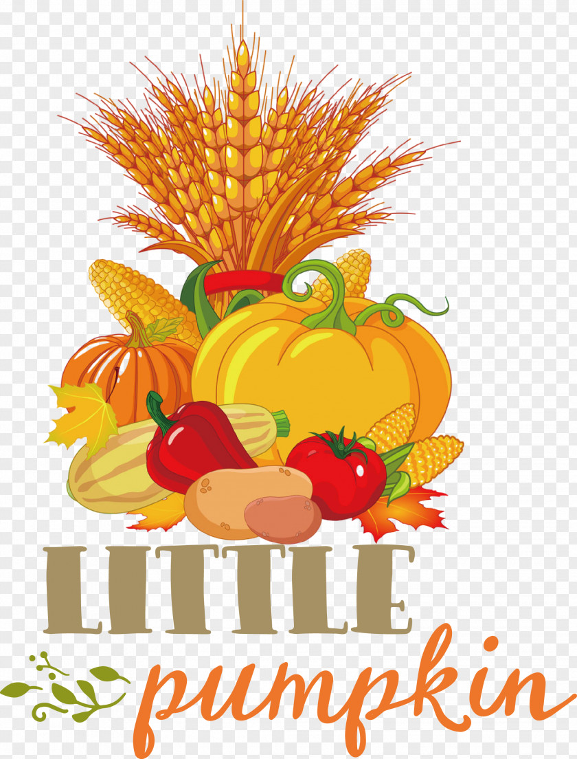 Little Pumpkin Thanksgiving Autumn PNG