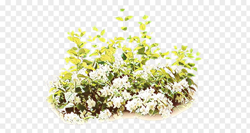 Perennial Plant Bouquet Floral Design PNG