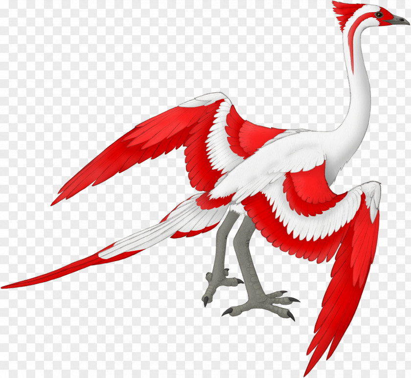 Pterosaur DeviantArt Beak Bird Artist PNG