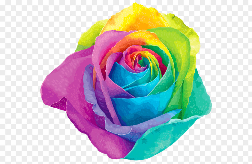Rainbow Flower PNG Flower, multicolored rose flower art clipart PNG