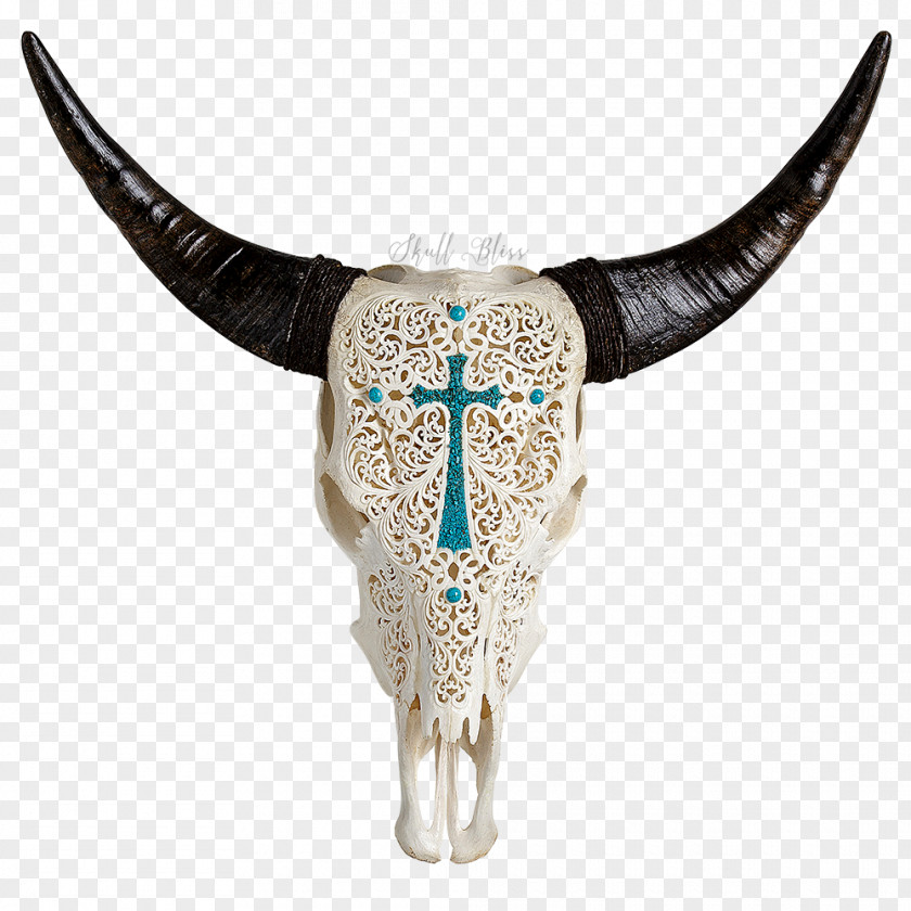 Skull Texas Longhorn Human Symbolism English PNG