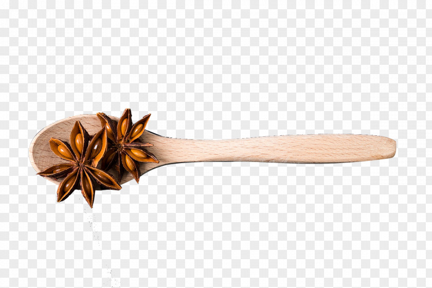 Spoon Aniseed Star Anise Condiment Seasoning PNG
