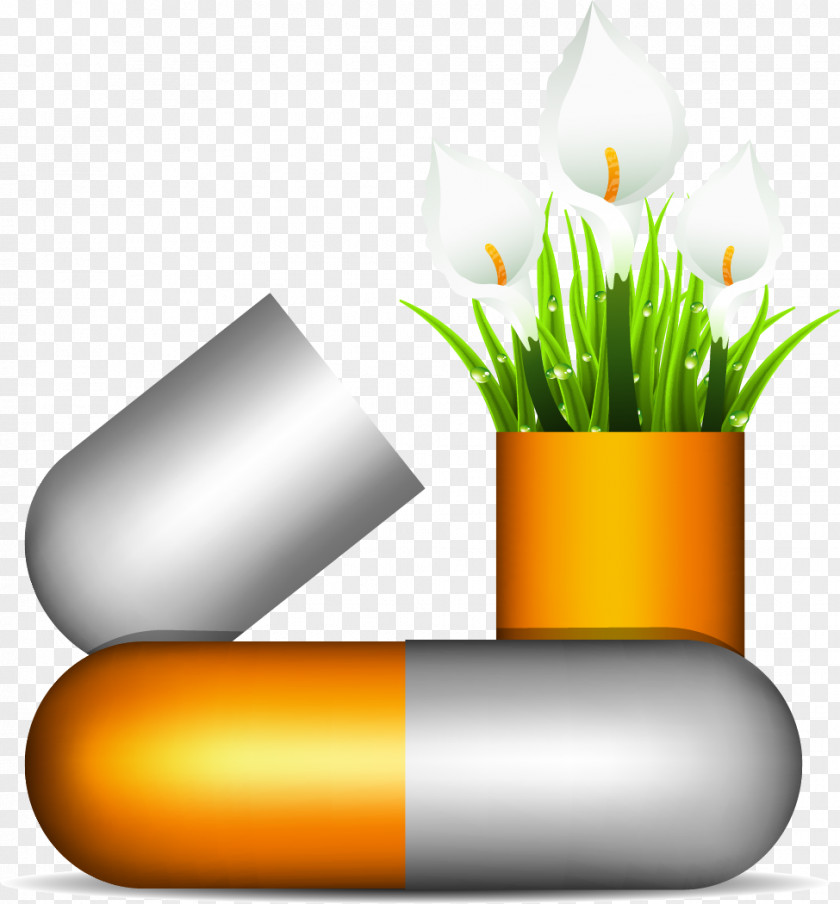 Vector Painted Capsules PNG