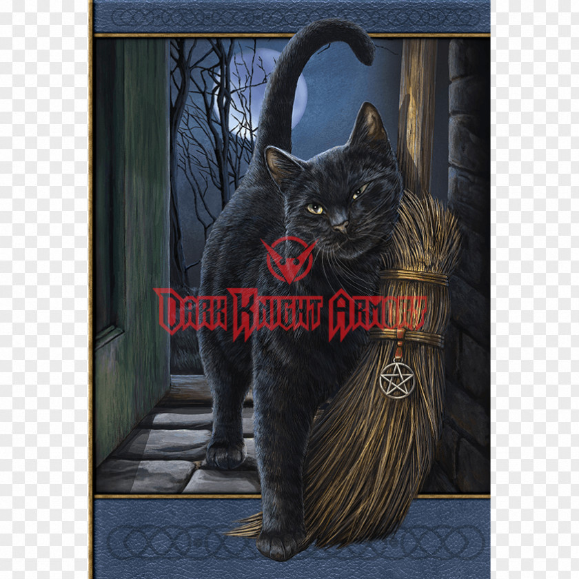 Cat Black Kitten Witchcraft Gothic Fiction PNG