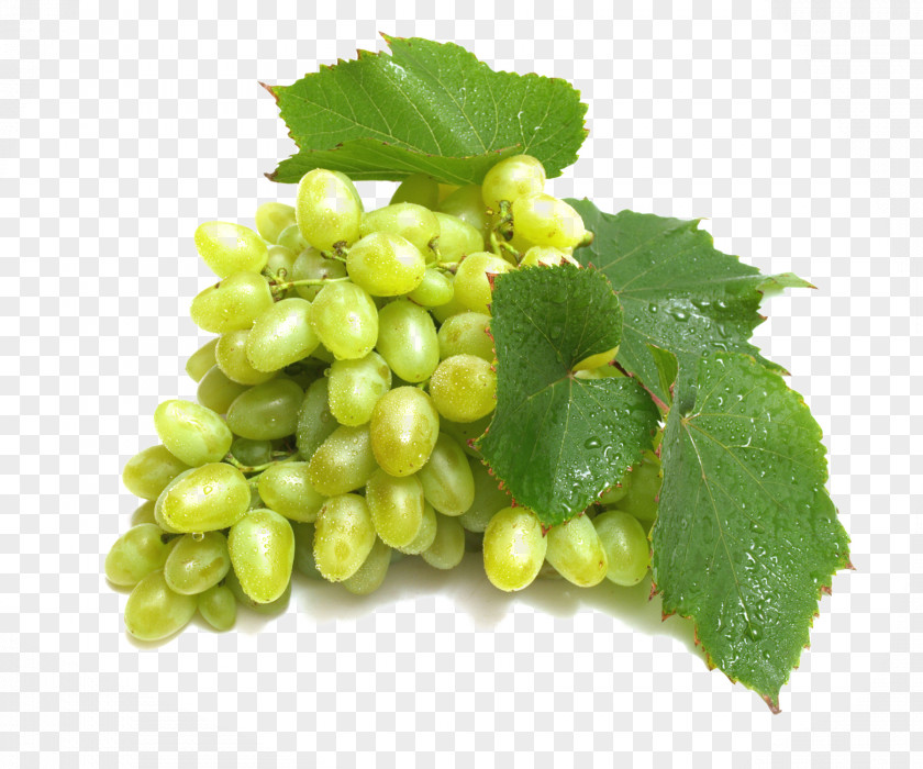 HD Green Grapes Picture Material Download Red Wine Verjuice Grape PNG