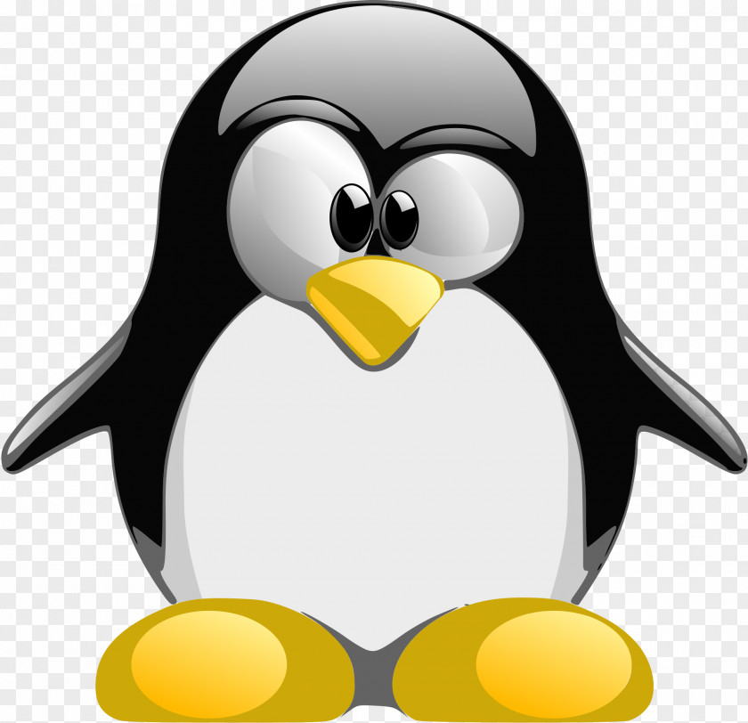 Penguin Image Best Collections Tux Racer Linux PNG