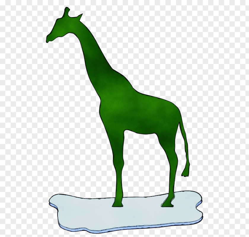 Plant Tail Green Animal Figure Wildlife Giraffe Grass PNG