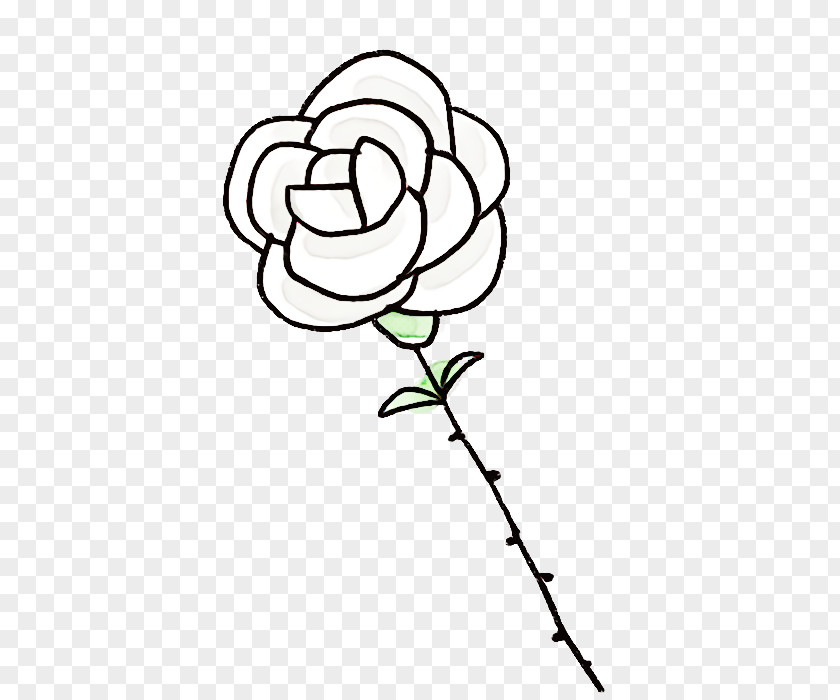 Rose PNG