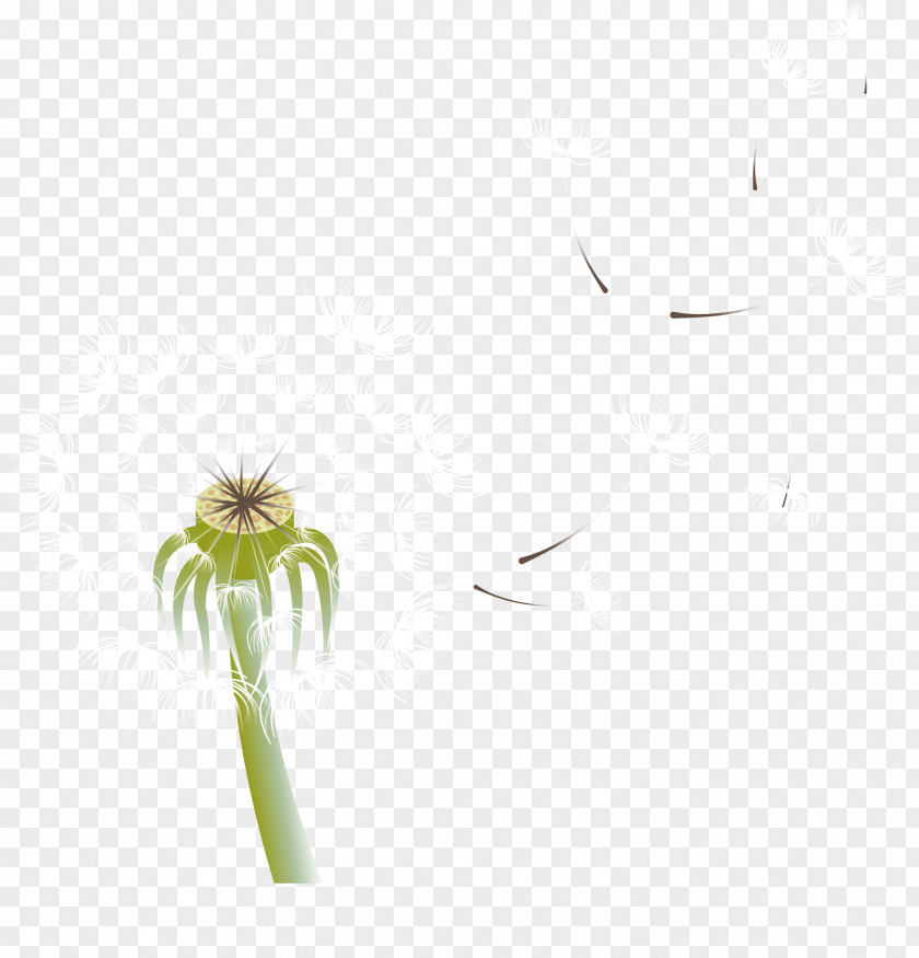 Vector Painted Caesar Blowing Dandelion Green Flooring Pattern PNG