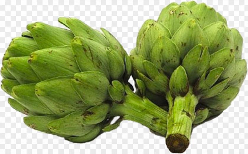 Vegetable Artichoke Food Herb PNG