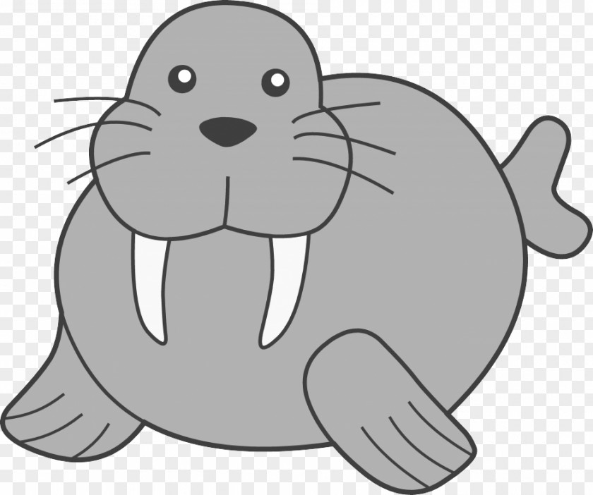 Walrus Pictures Drawing Tusk Clip Art PNG