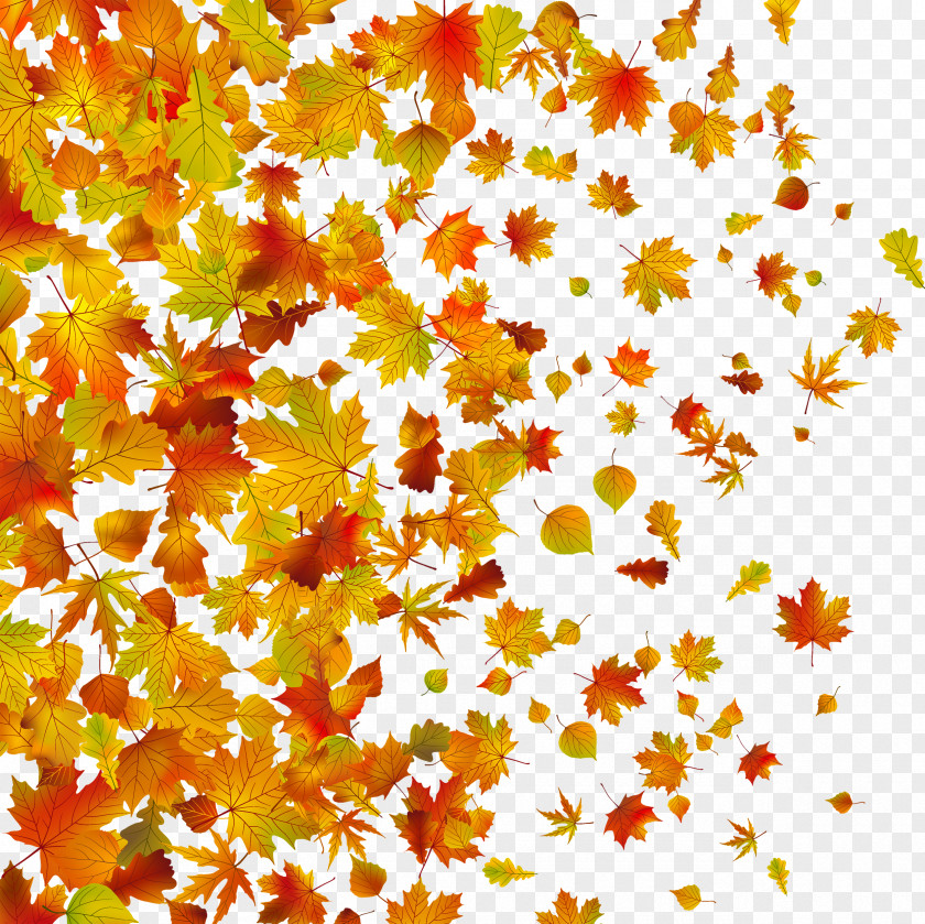 Withered Autumn Leaves PNG