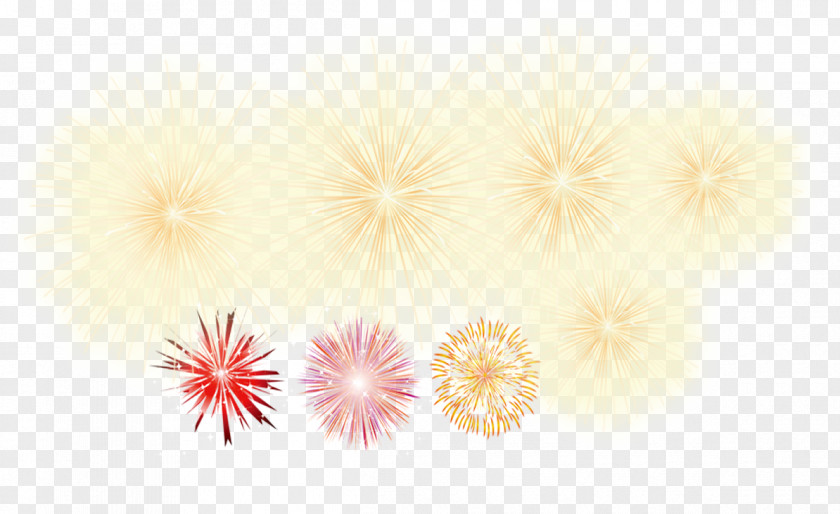 Bloom Of Fireworks Petal Floral Design Pattern PNG