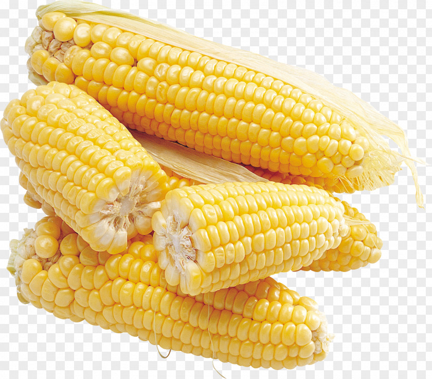 Corn Image Maize Clip Art PNG