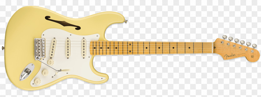 Guitar Fender Stratocaster Telecaster Thinline Eric Clapton NAMM Show Johnson PNG