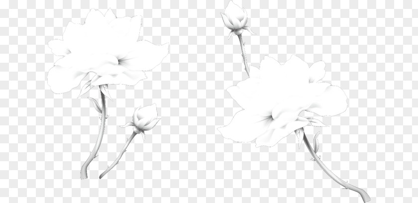 Lotus Vector Material Black And White Sketch PNG