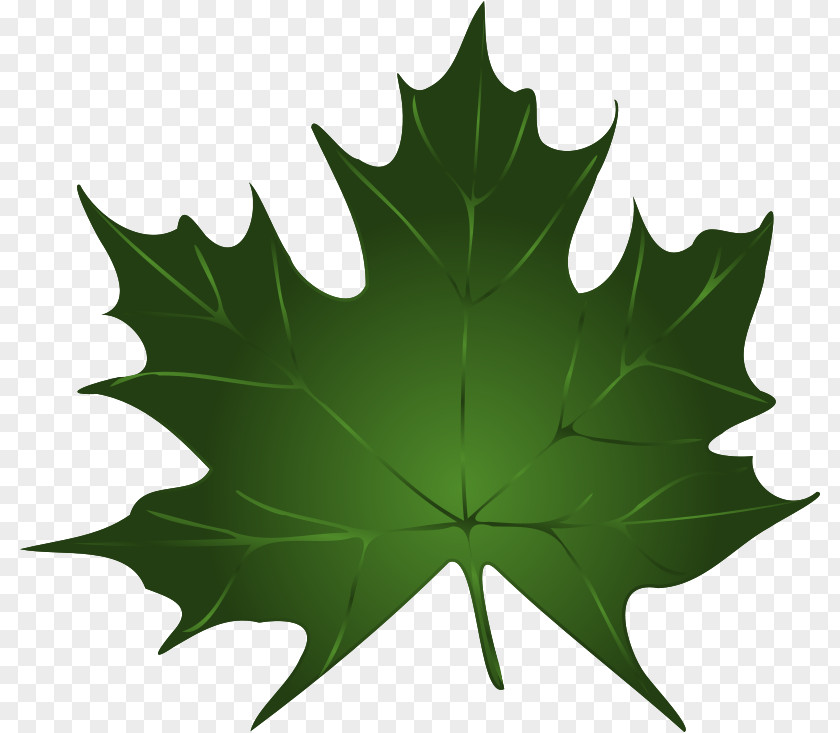 Maple Leaf Vector Free Download Green Clip Art PNG