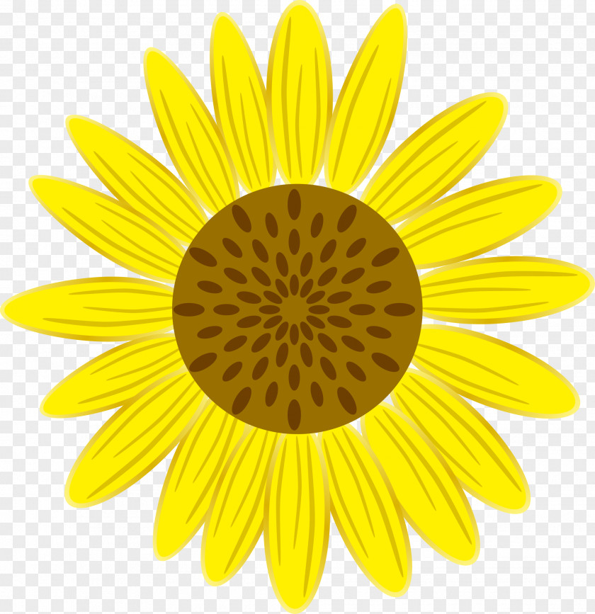 Sunflower Symmetry Yellow Petal Pattern PNG